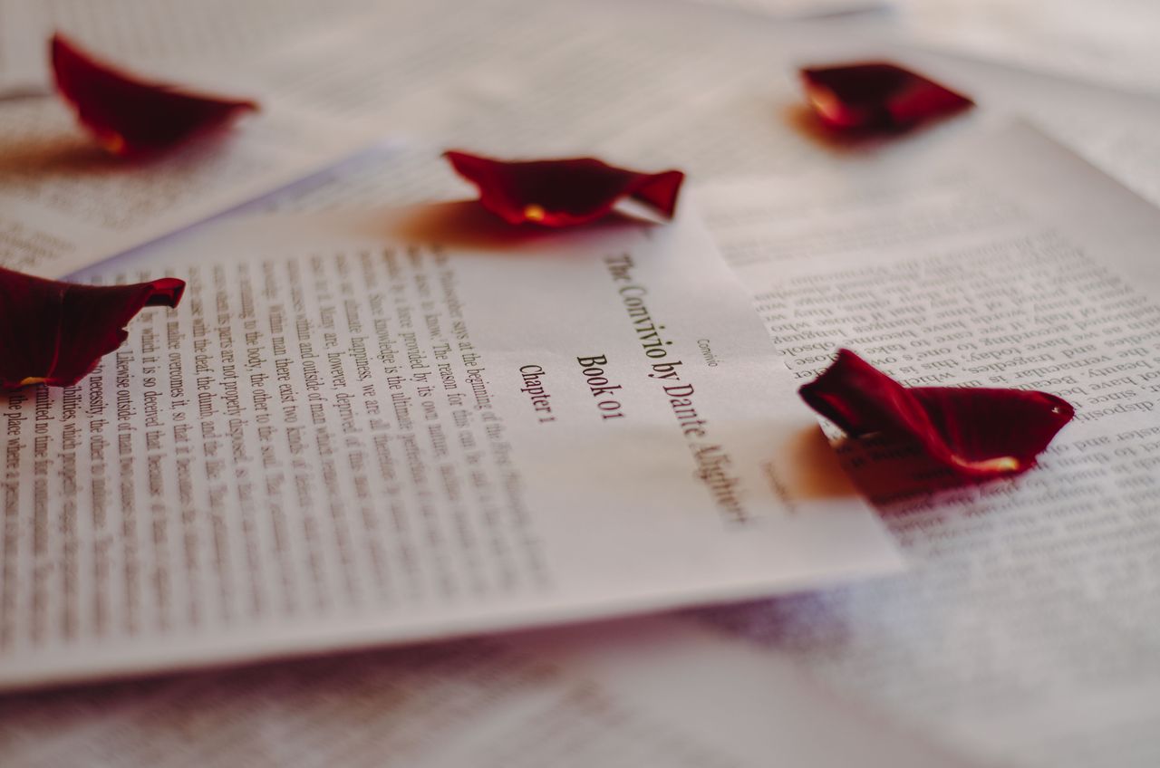approach-img Detailed view of book pages with scattered red rose petals, emphasizing romance and literature.